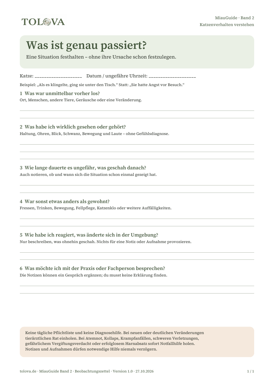 Vorschau der einseitigen TOLOVA-PDF mit sechs Feldern für eine konkrete Beobachtung.